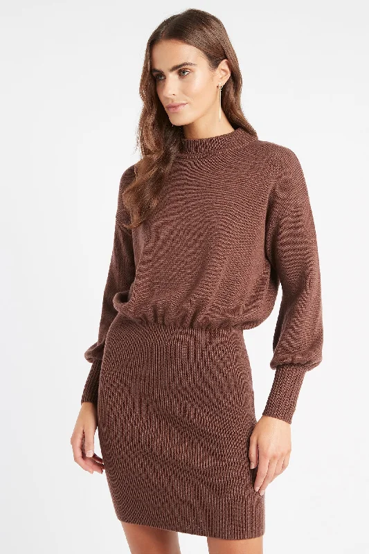 Autumn Skivvy Dress